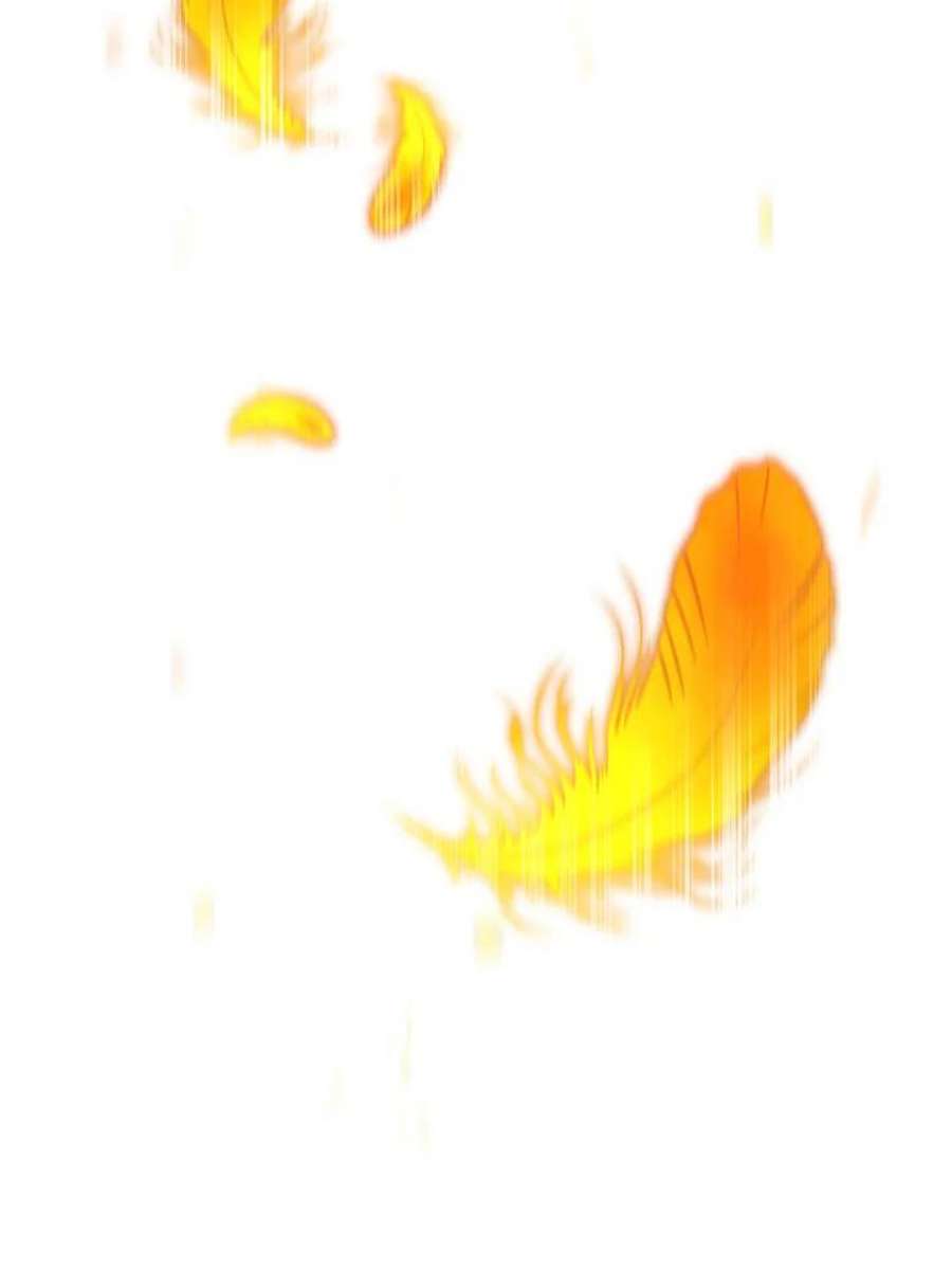 74.jpg