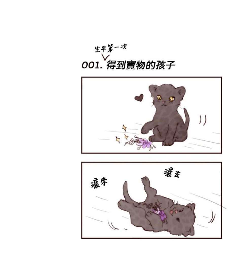 65.jpg