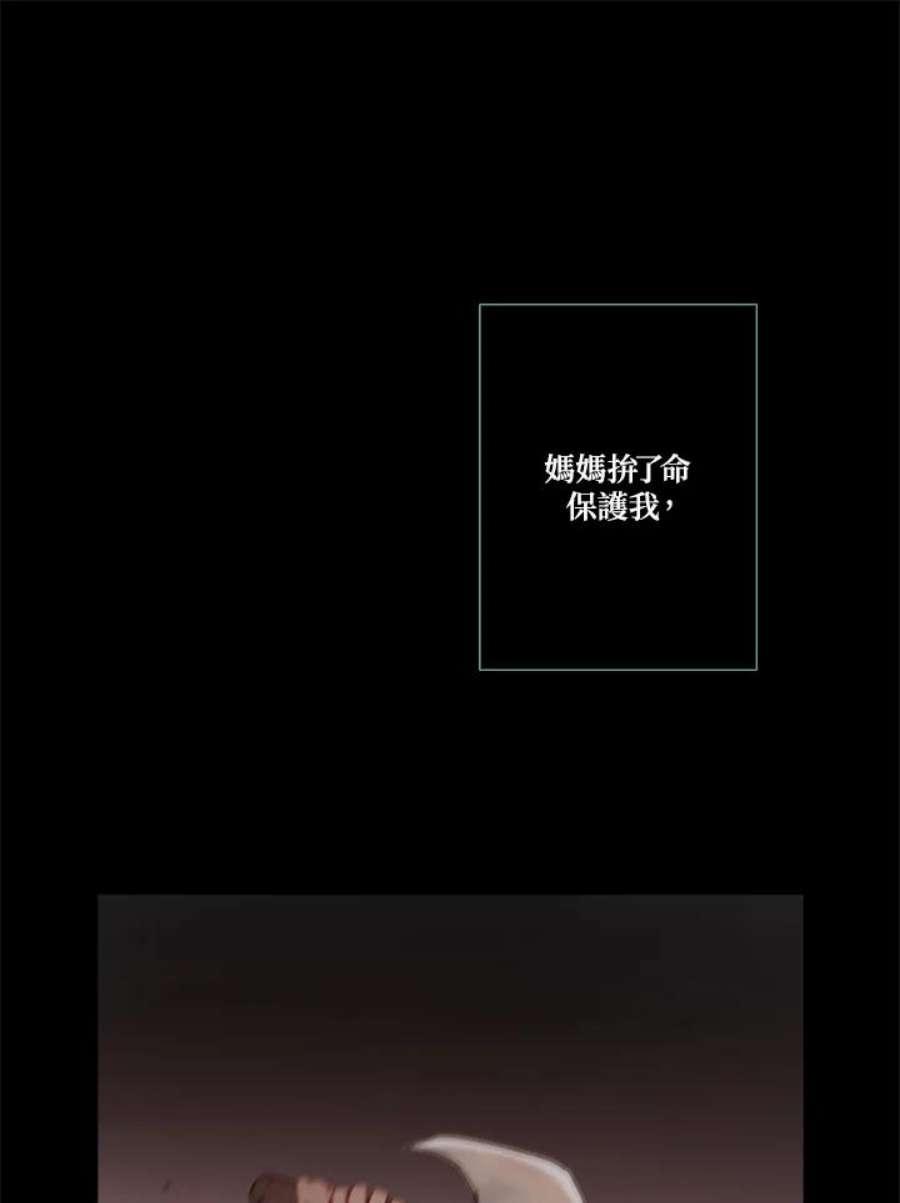 66.jpg