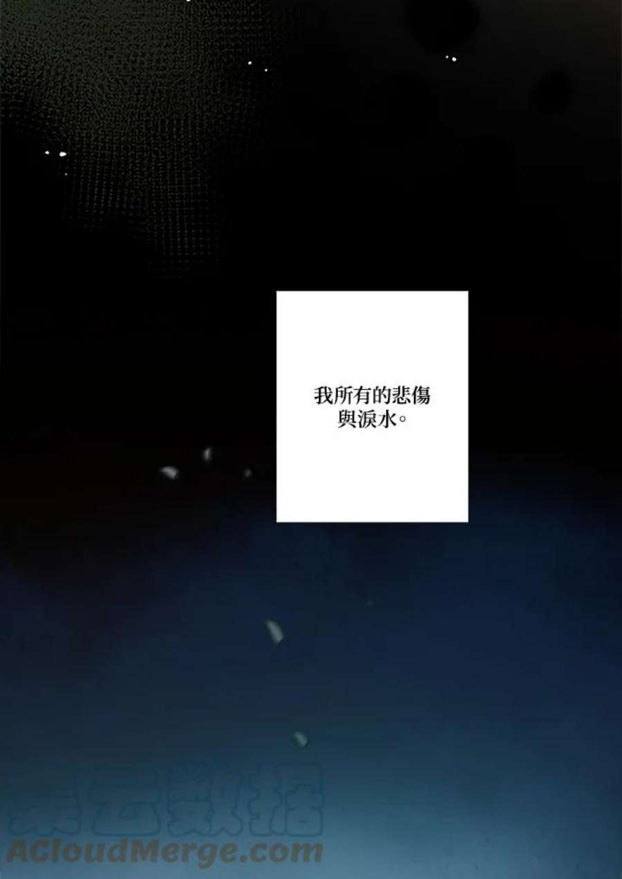 85.jpg