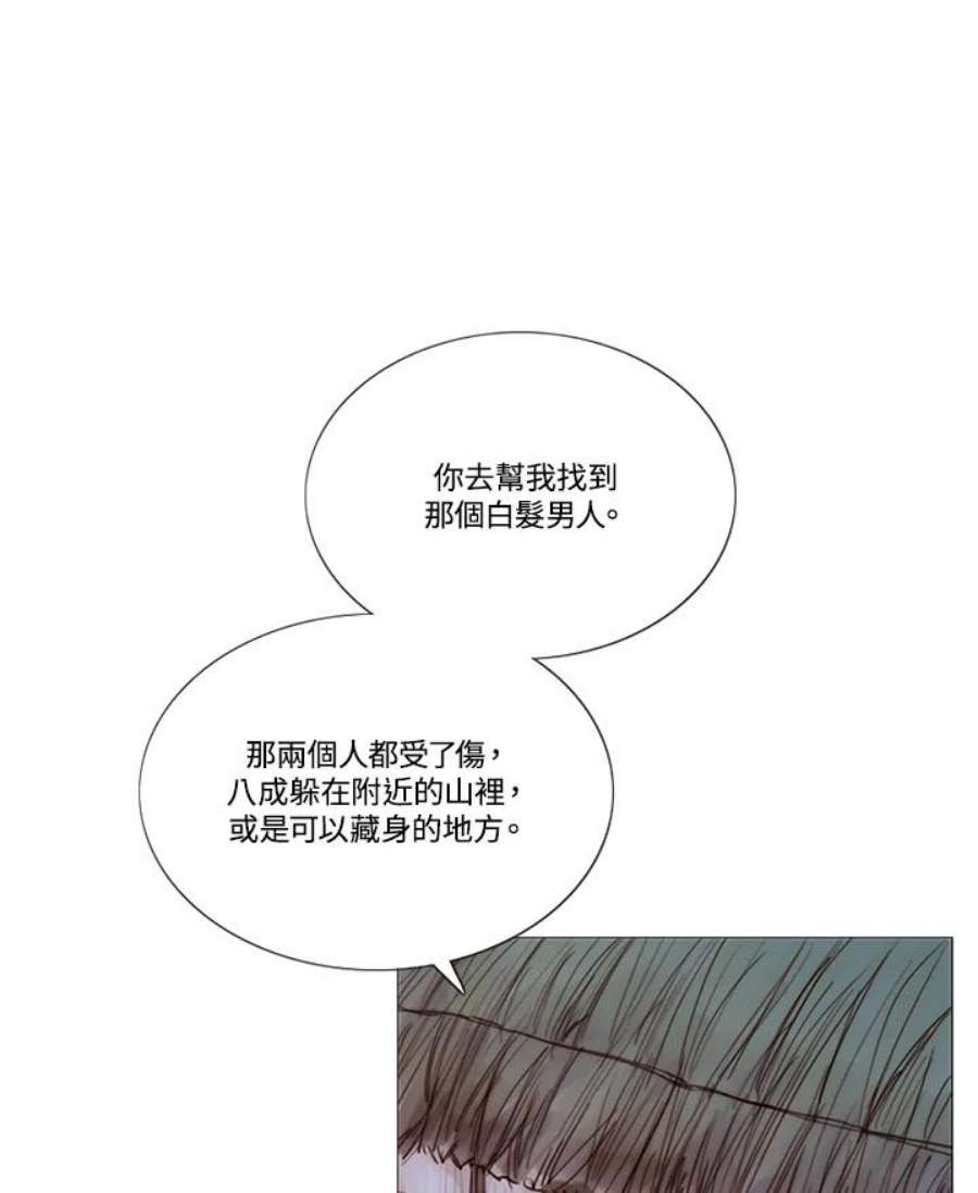 95.jpg