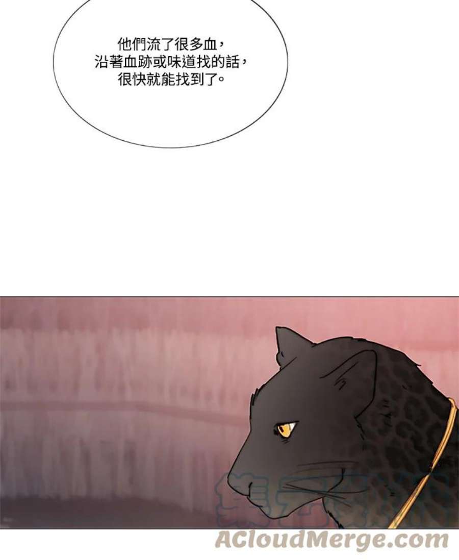 97.jpg