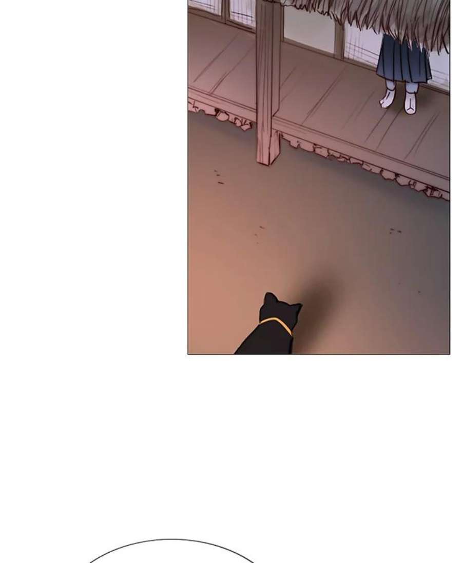 96.jpg