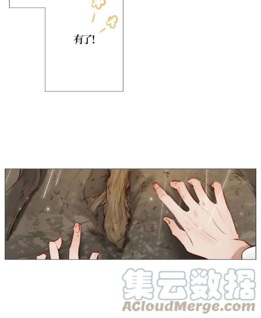 52.jpg