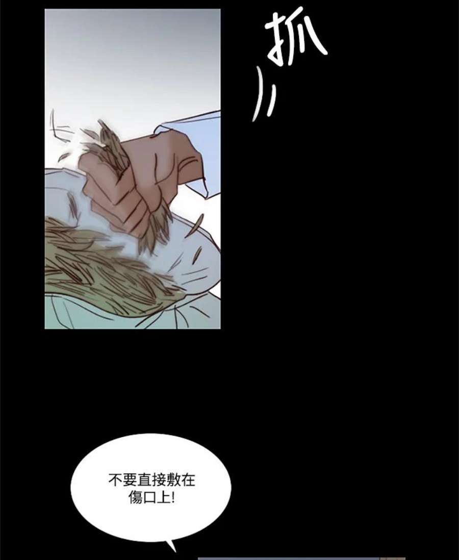 67.jpg