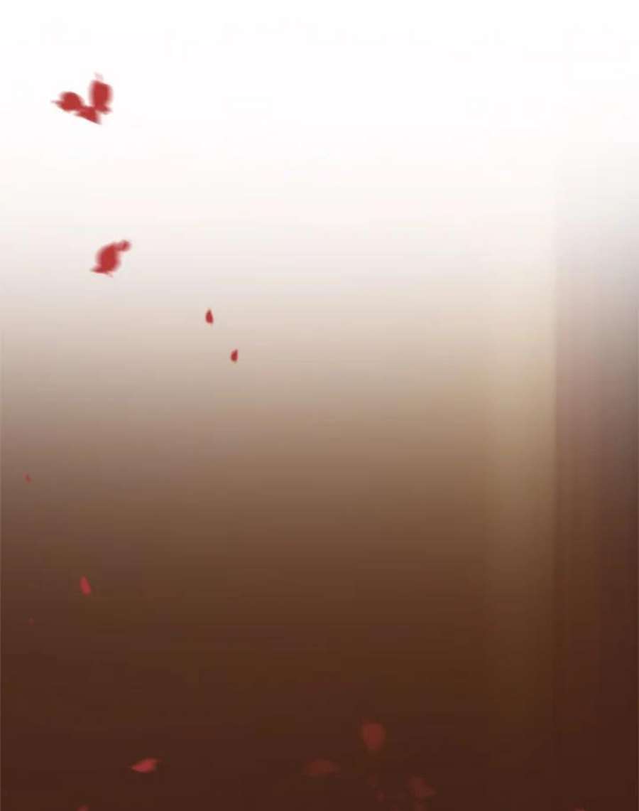102.jpg