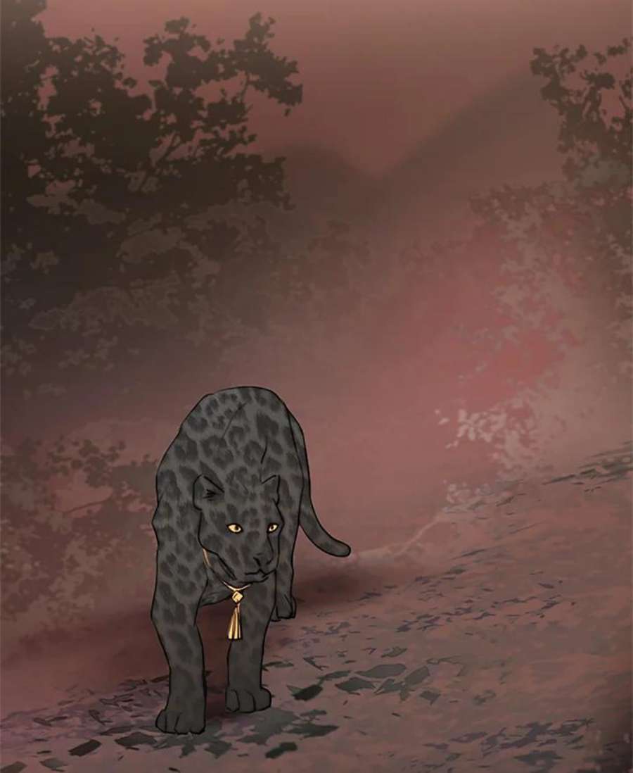 78.jpg