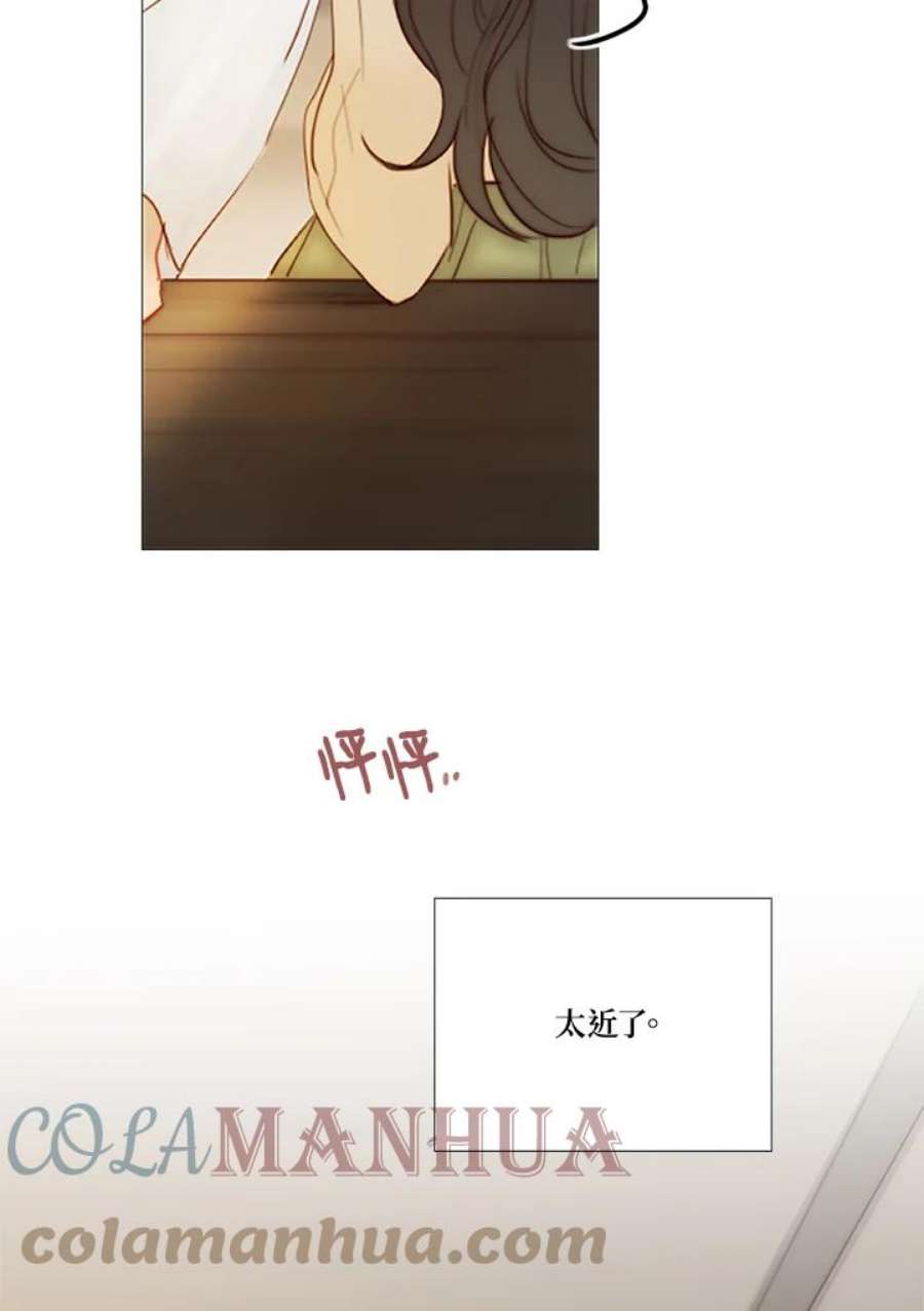 97.jpg