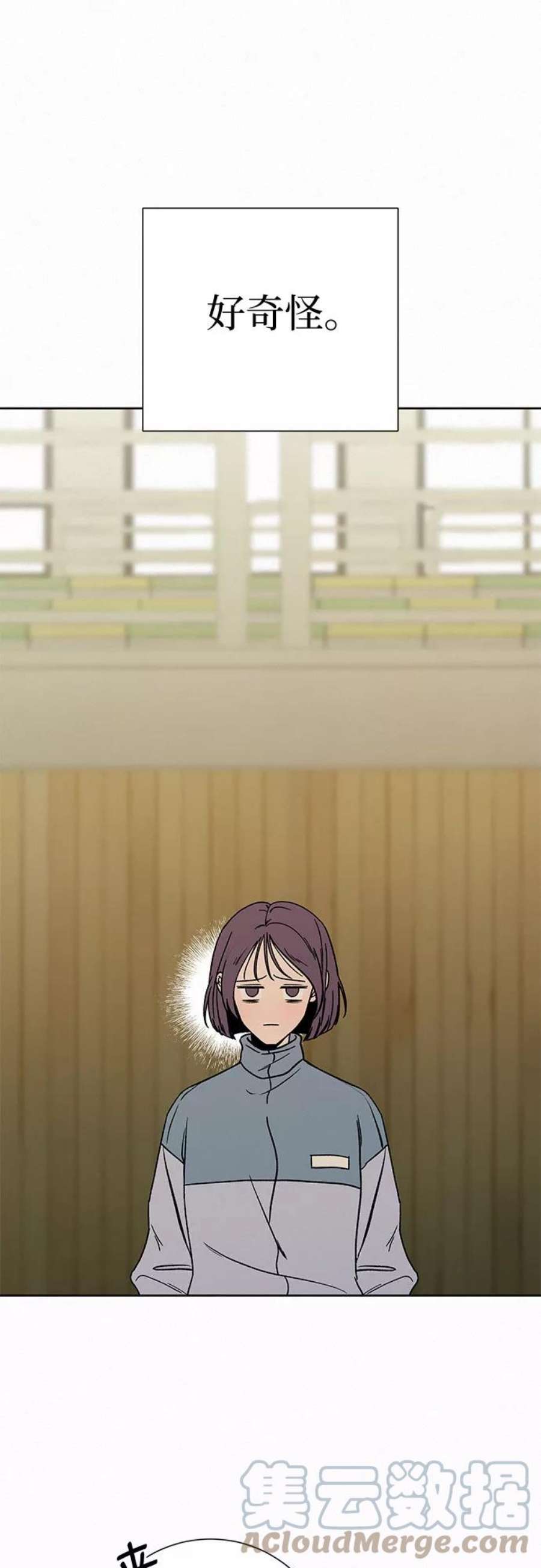 49.jpg