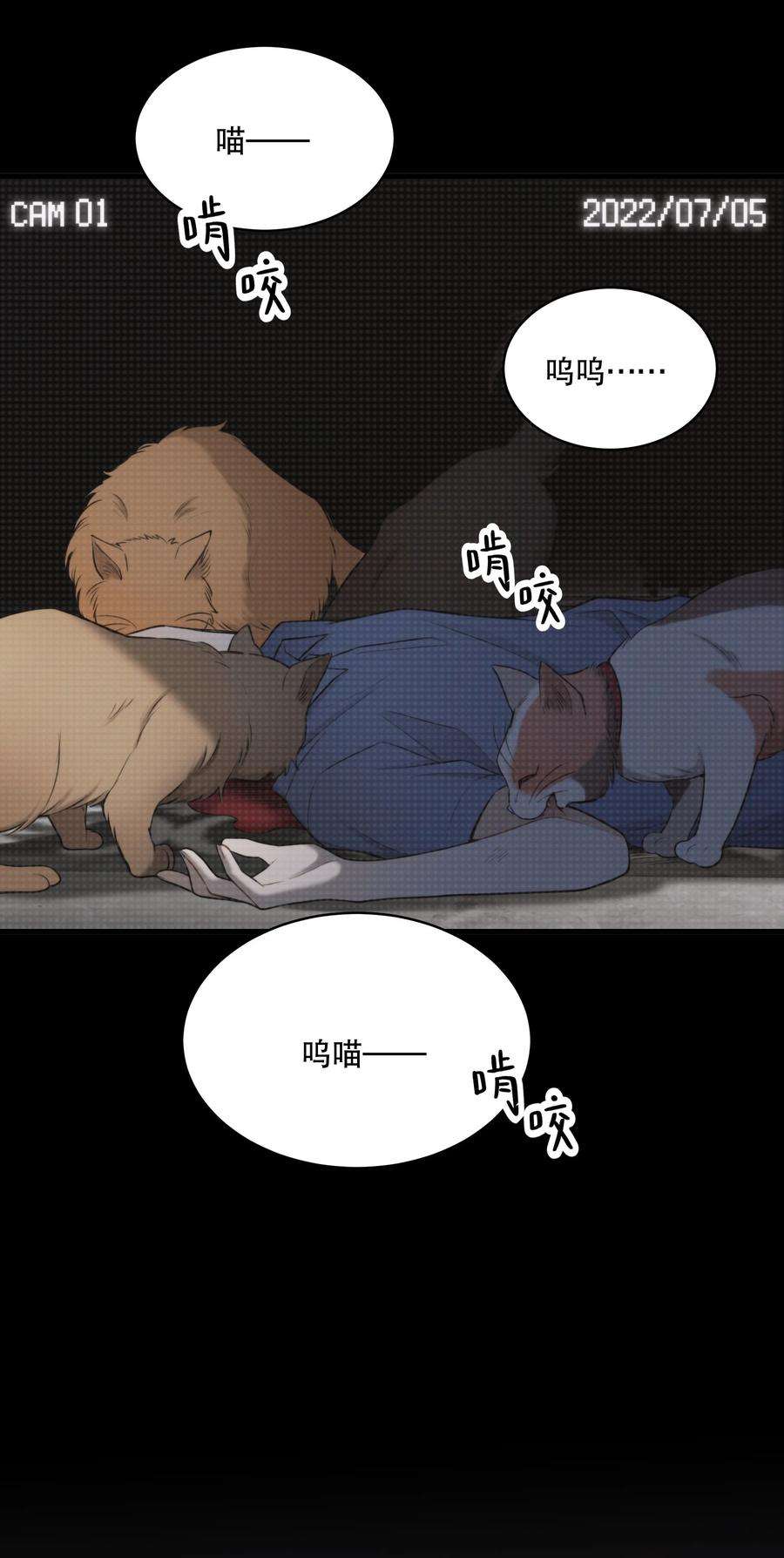 35.jpg