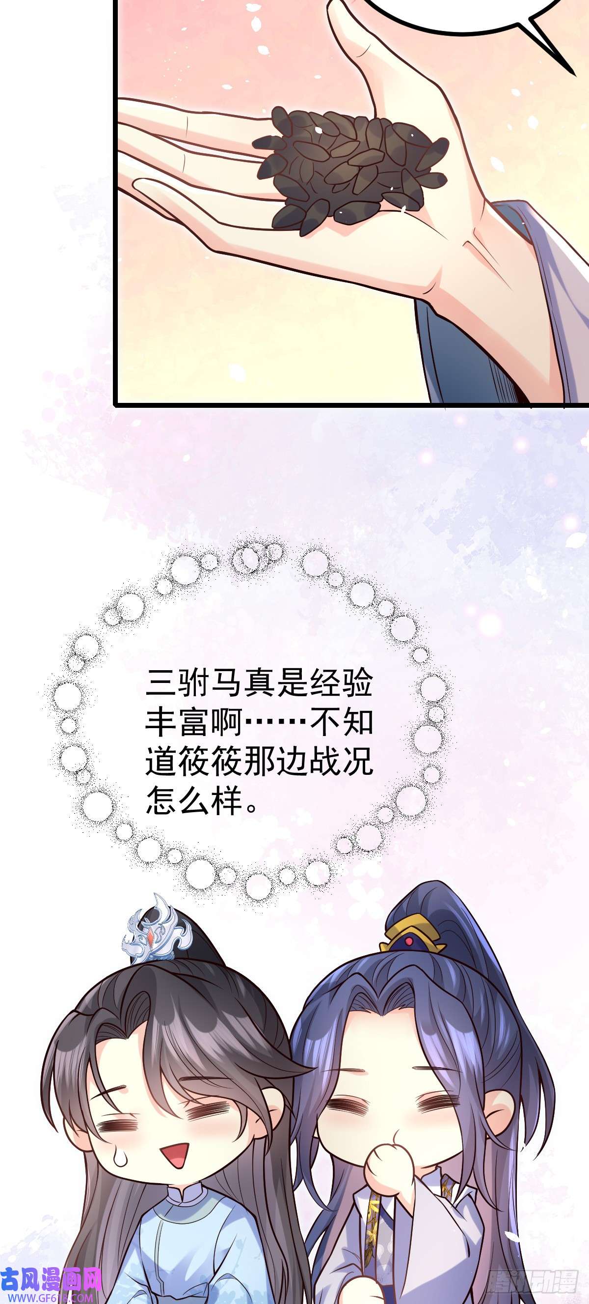 25.jpg