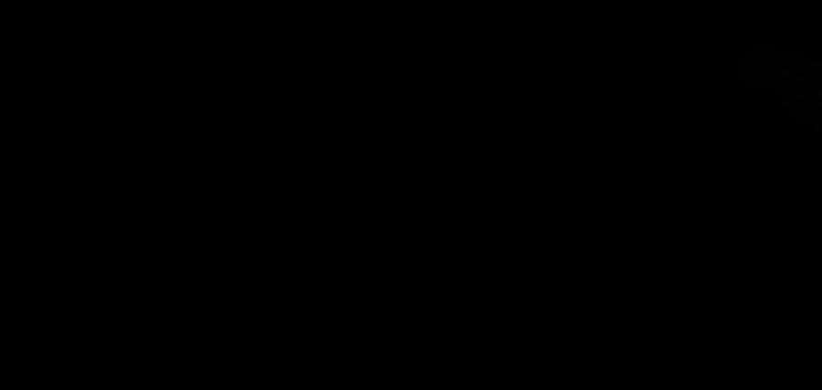 62.jpg