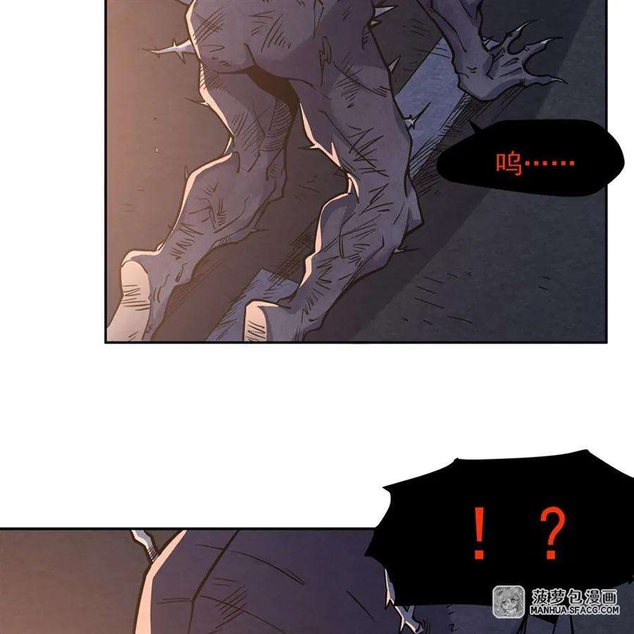 41.jpg