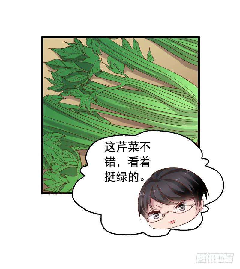 20.jpg