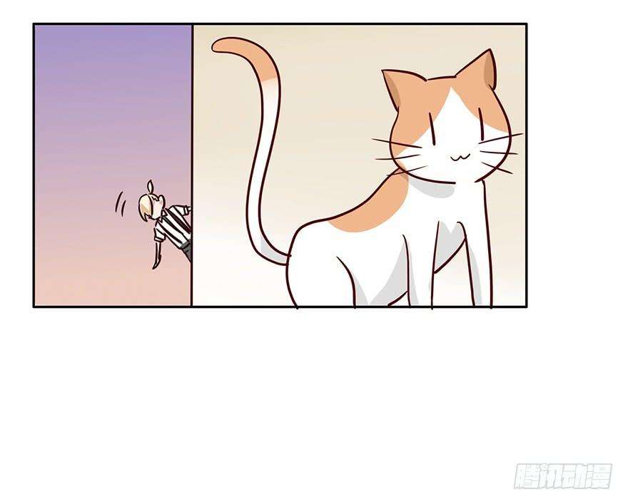 32.jpg