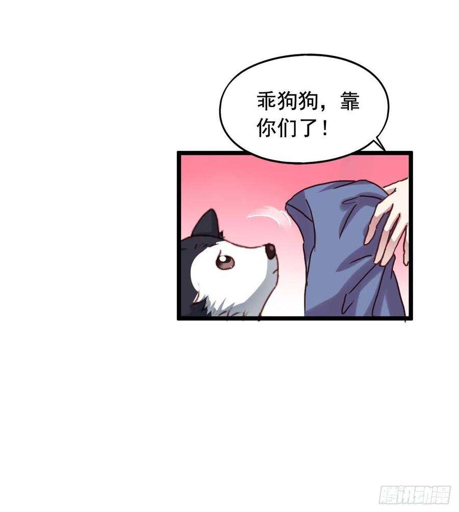 33.jpg