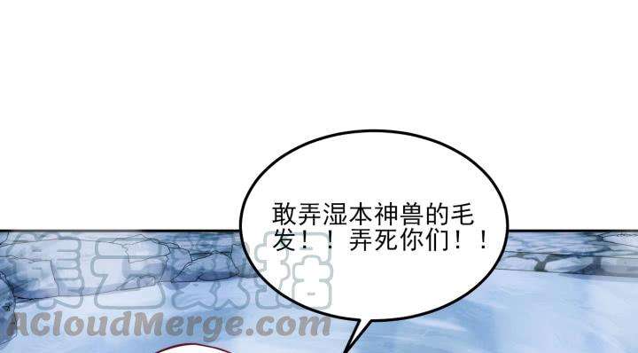 91.jpg