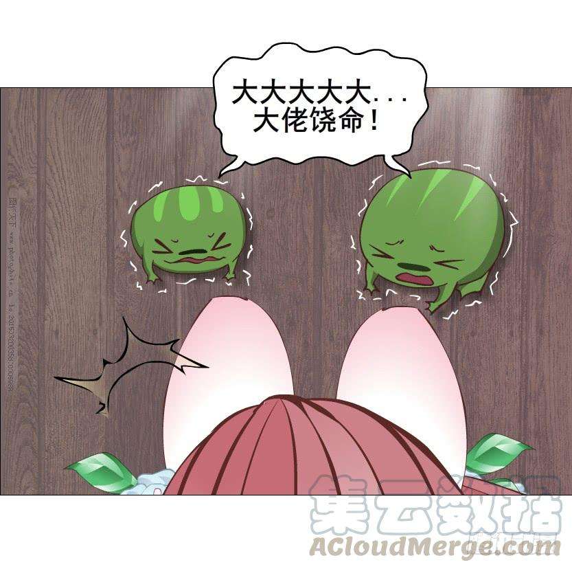 41.jpg