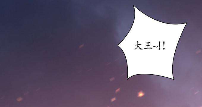 113.jpg