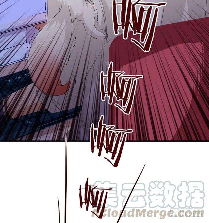 51.jpg