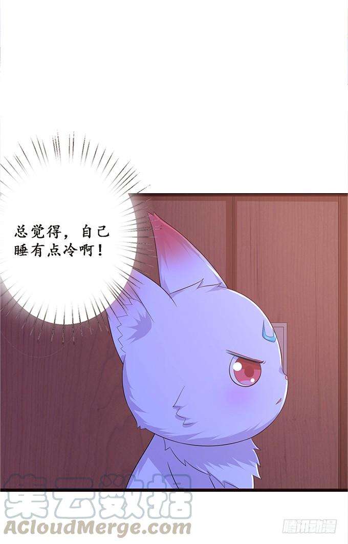 41.jpg