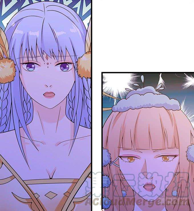 51.jpg