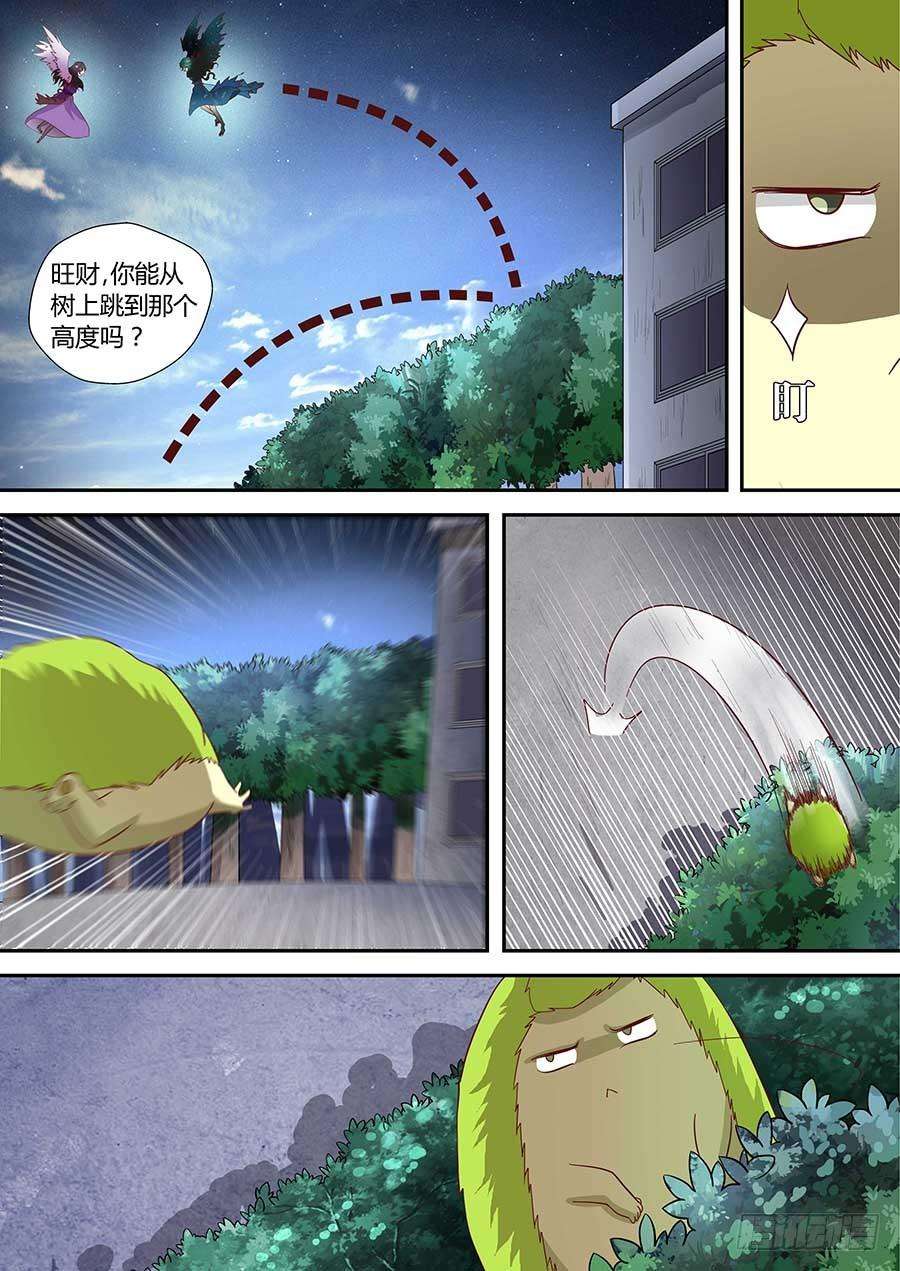 5.jpg