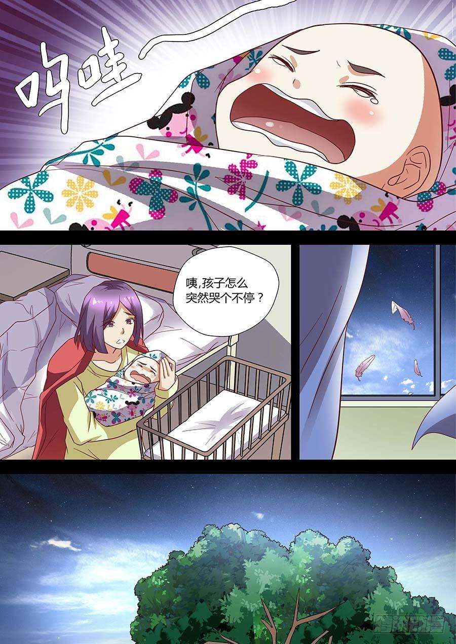 9.jpg