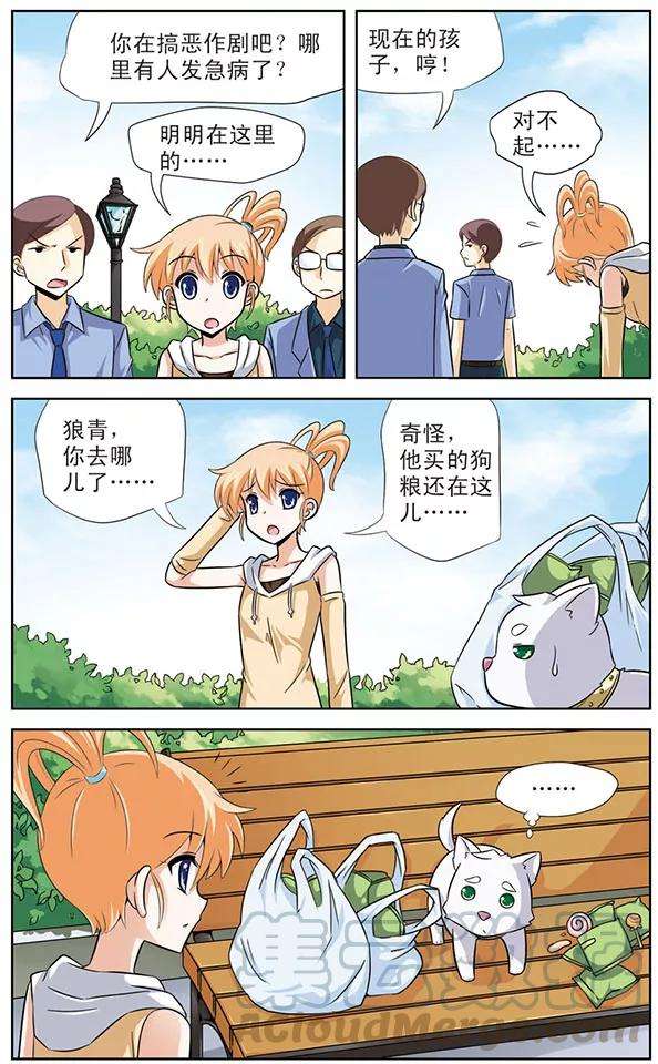 11.jpg