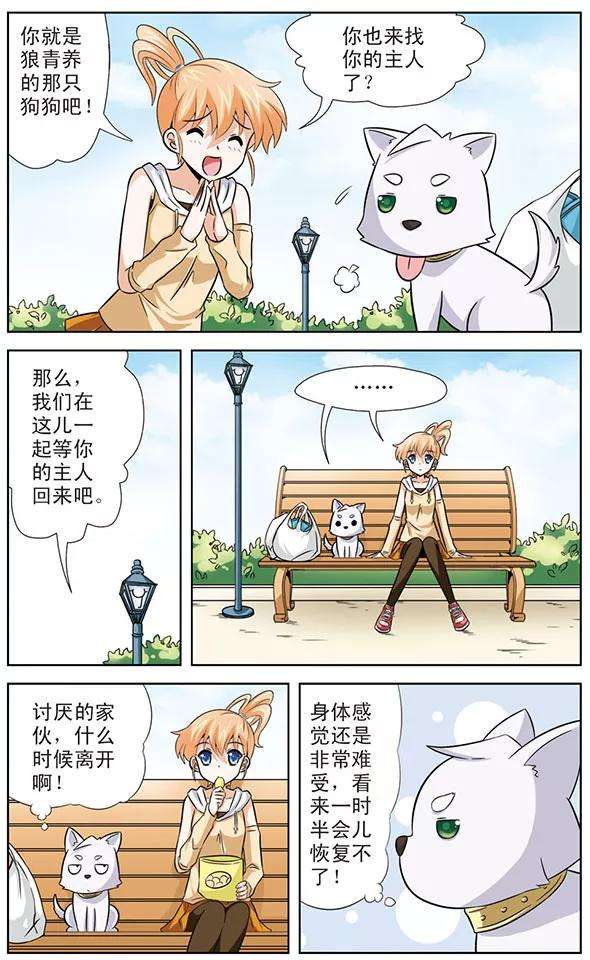 3.jpg