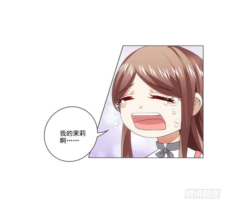 26.jpg