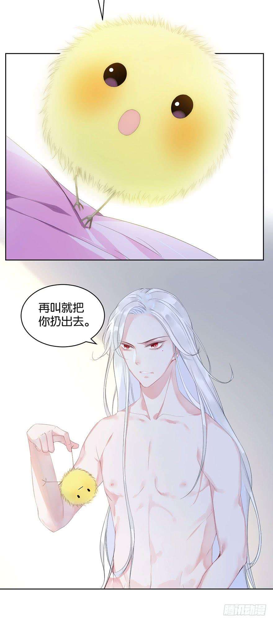 21.jpg