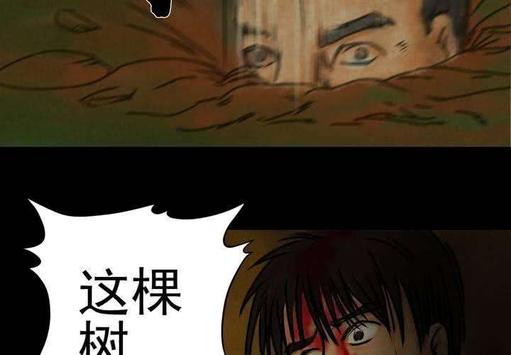 95.jpg