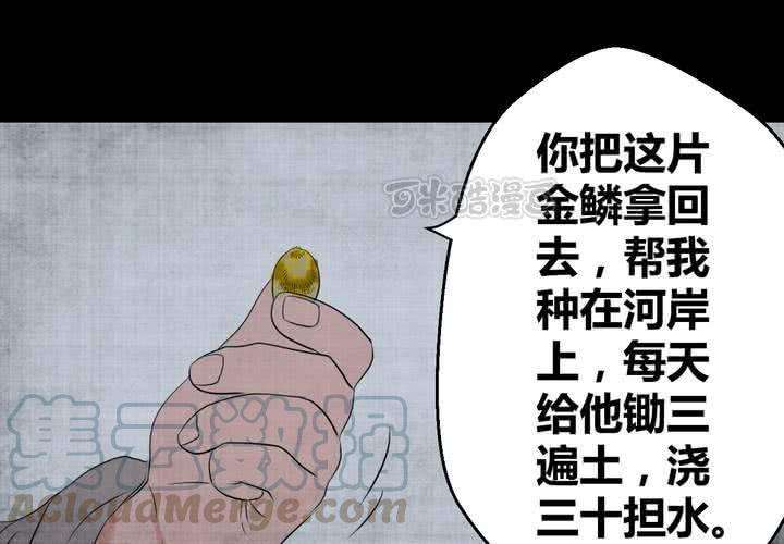 41.jpg
