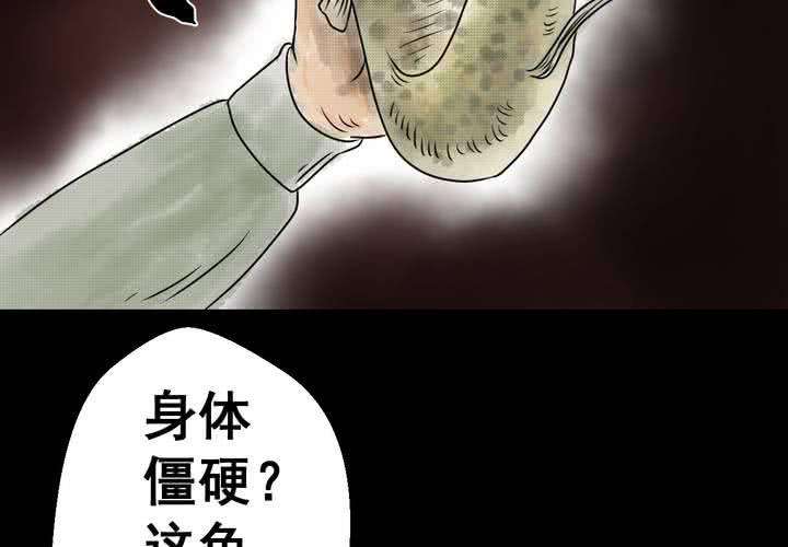 48.jpg