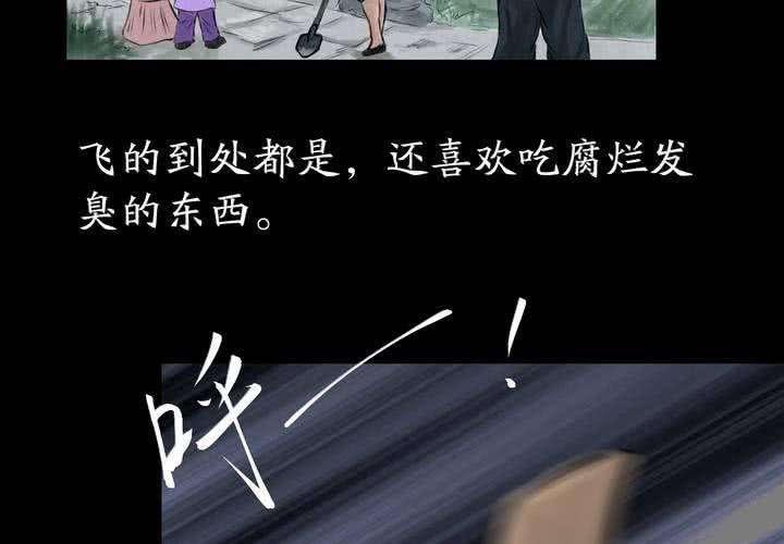 62.jpg