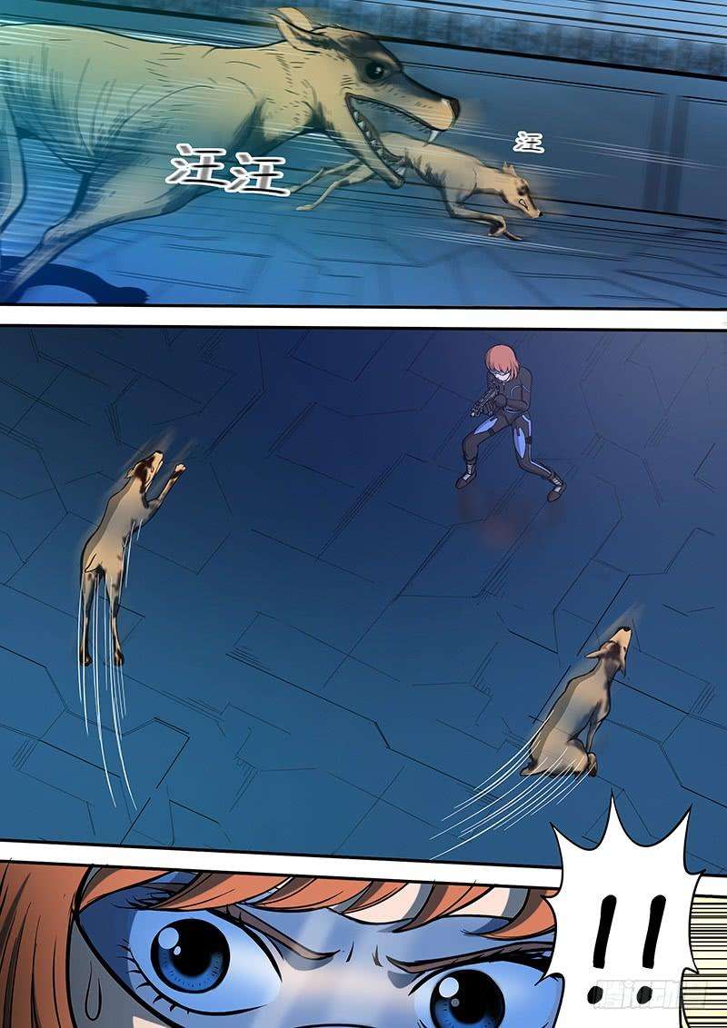 4.jpg