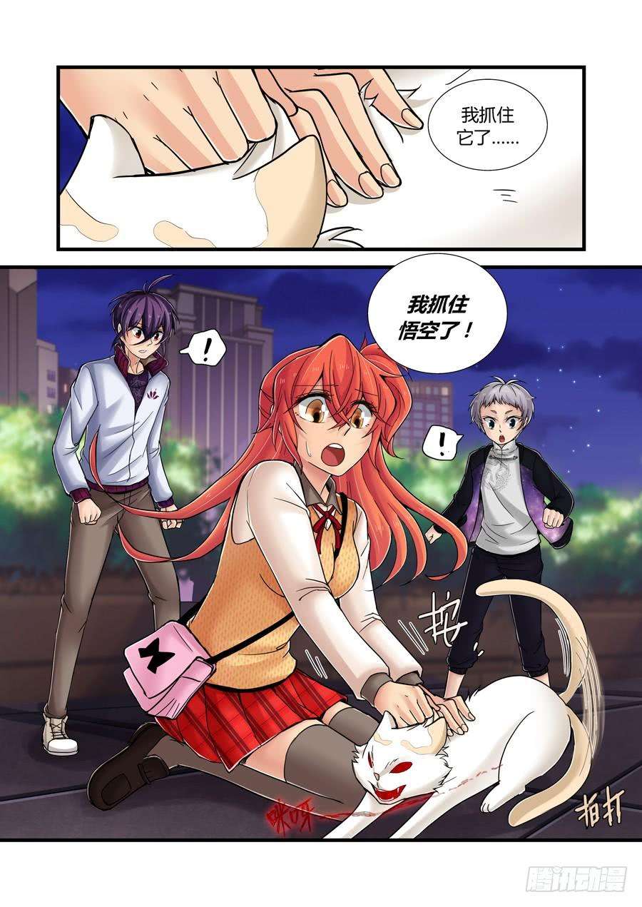 13.jpg