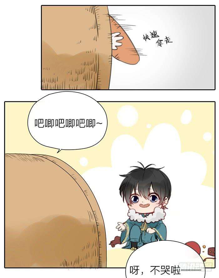 17.jpg