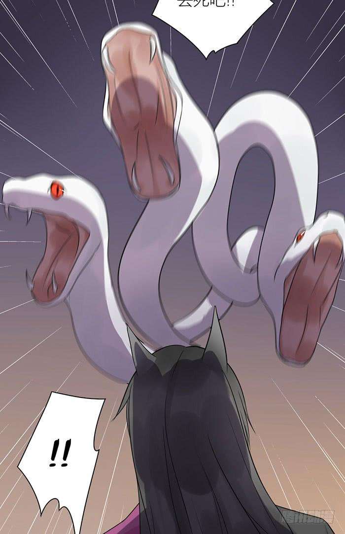20.jpg