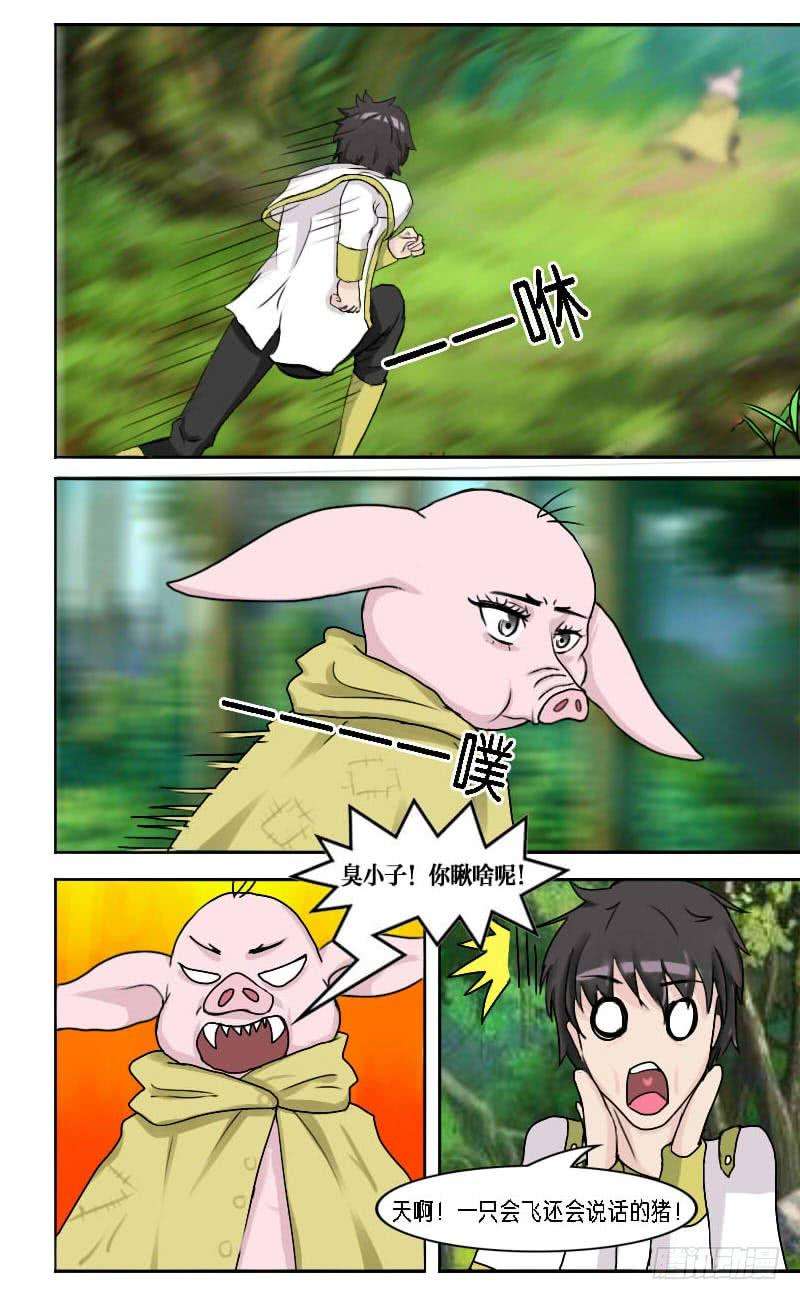 8.jpg