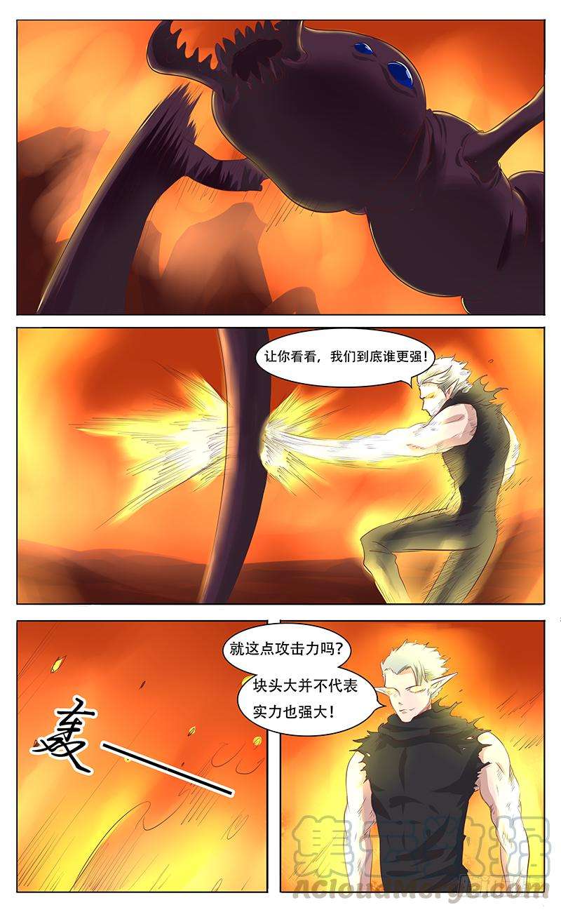 11.jpg