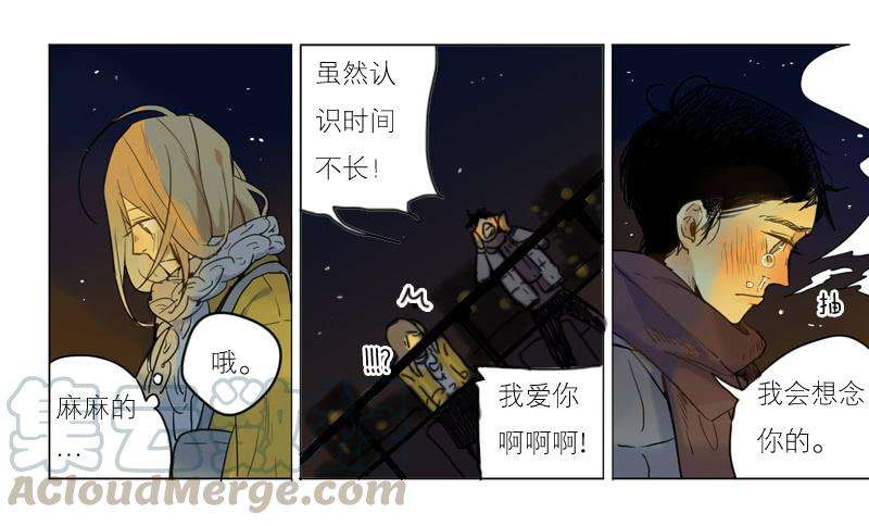 31.jpg
