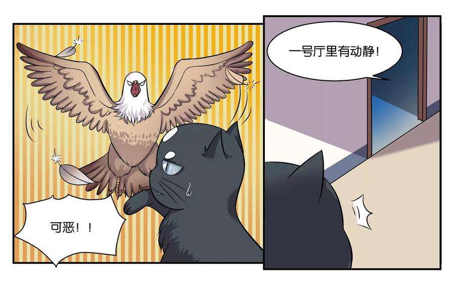 25.jpg