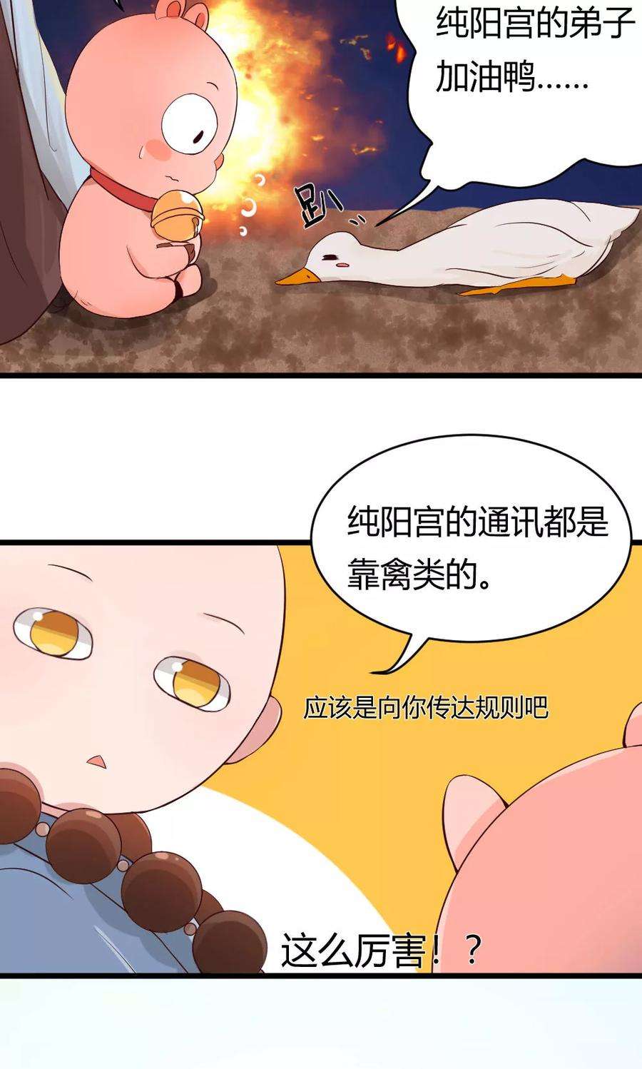 12.jpg
