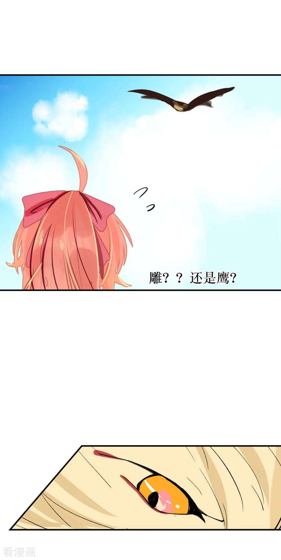 19.jpg