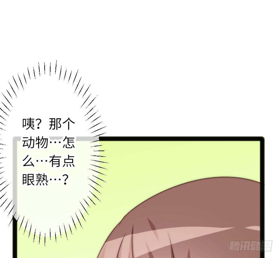 57.jpg