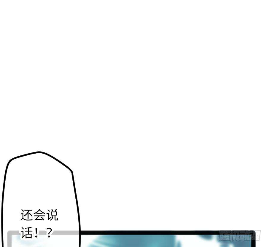 70.jpg