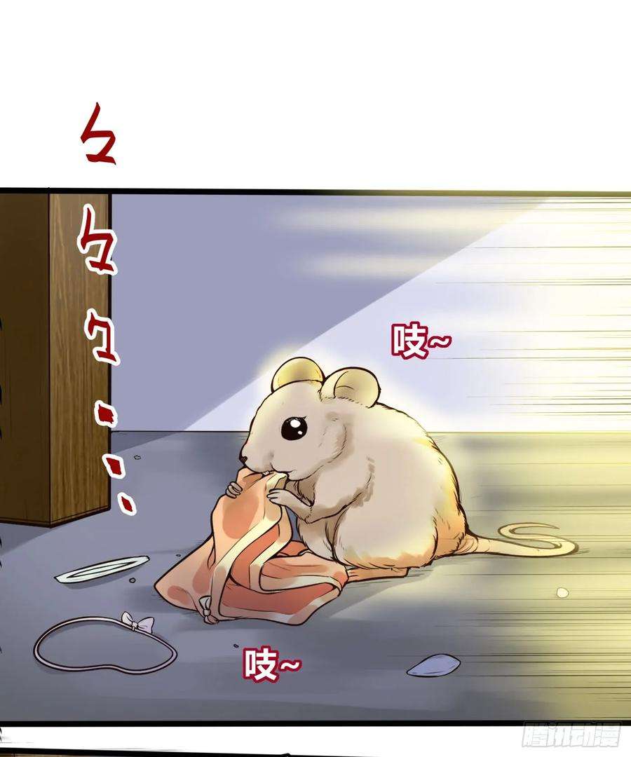 14.jpg