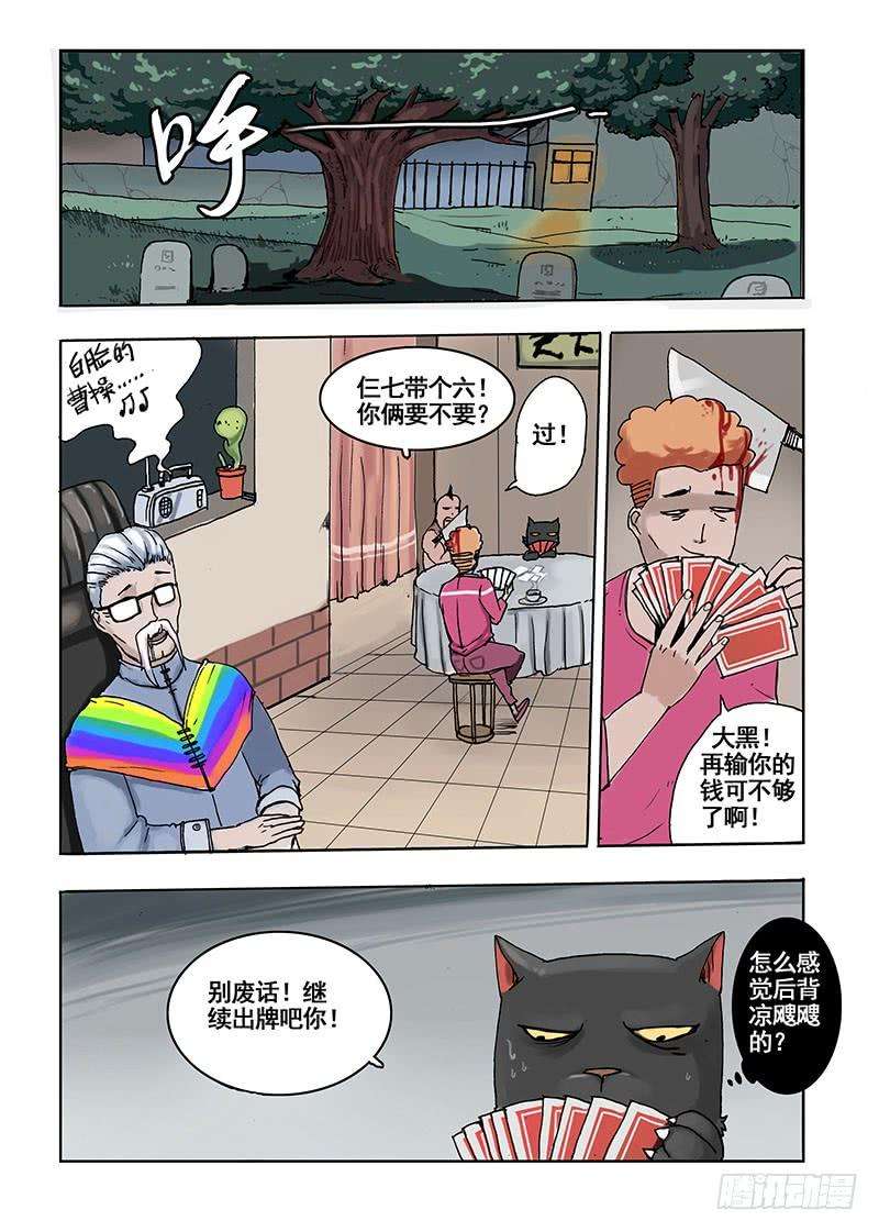 8.jpg